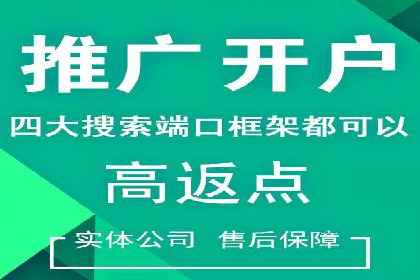 电商平台信息流广告的创意与执行案例分析